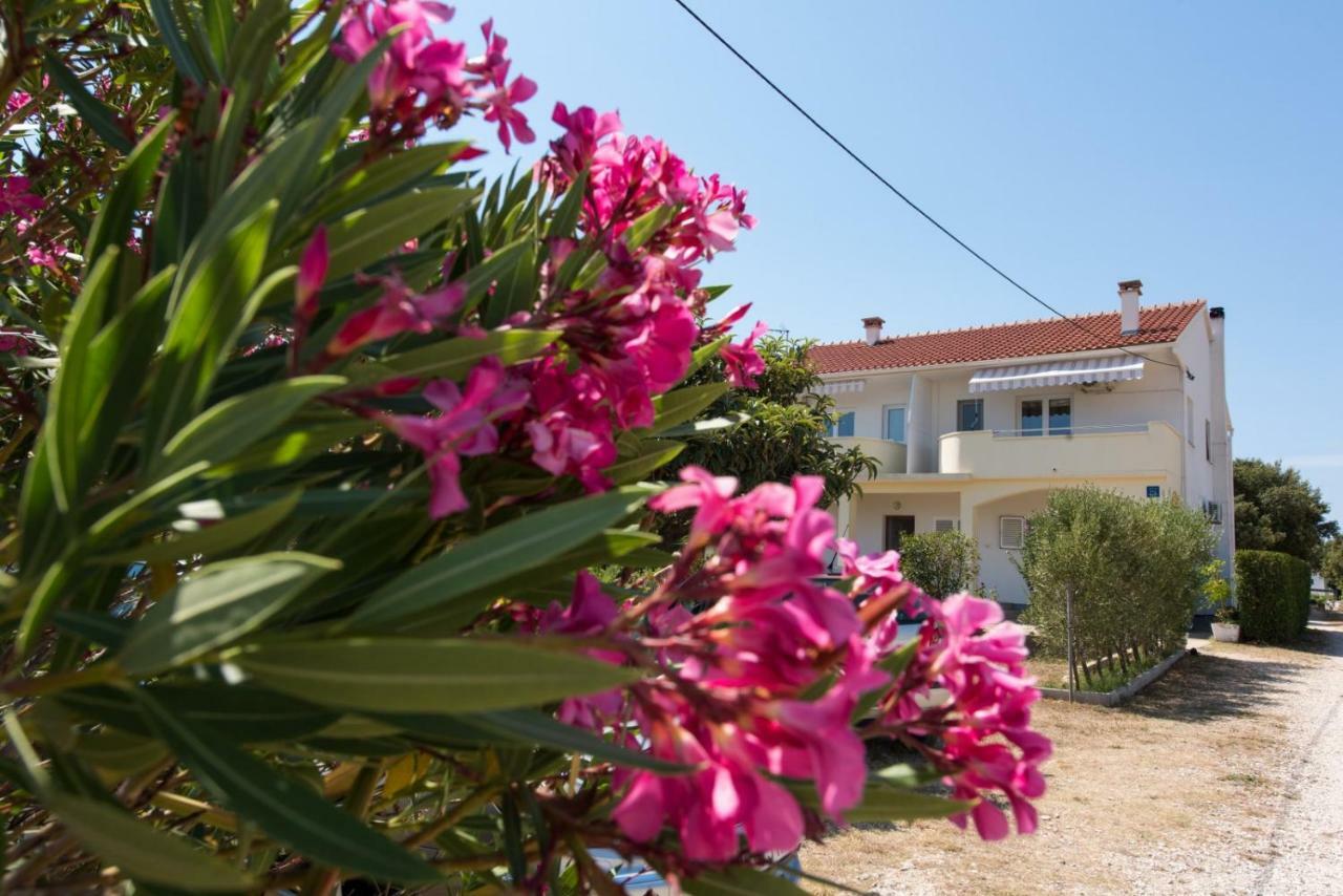 Apartments Maco Petrčane Exterior foto